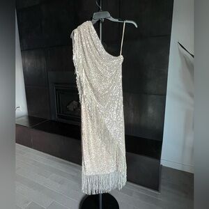 Badgley Mischka
Champagne Sequin Fringe One-Shoulder Midi Dress
Never used